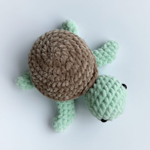 TamTam Turtle - Image 2