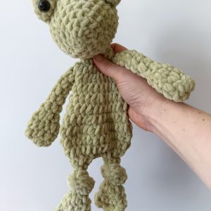 Hopsy Frog