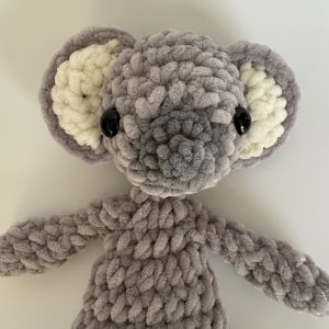 Katie Koala