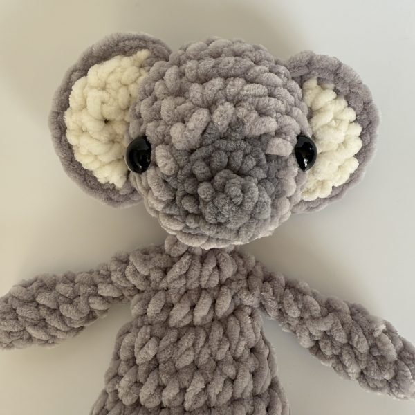 Katie Koala