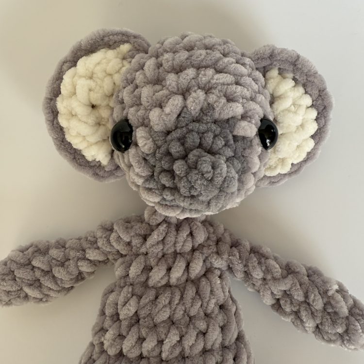 Katie Koala