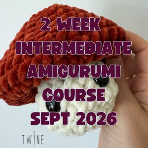 Amigurumi Crochet Course - September