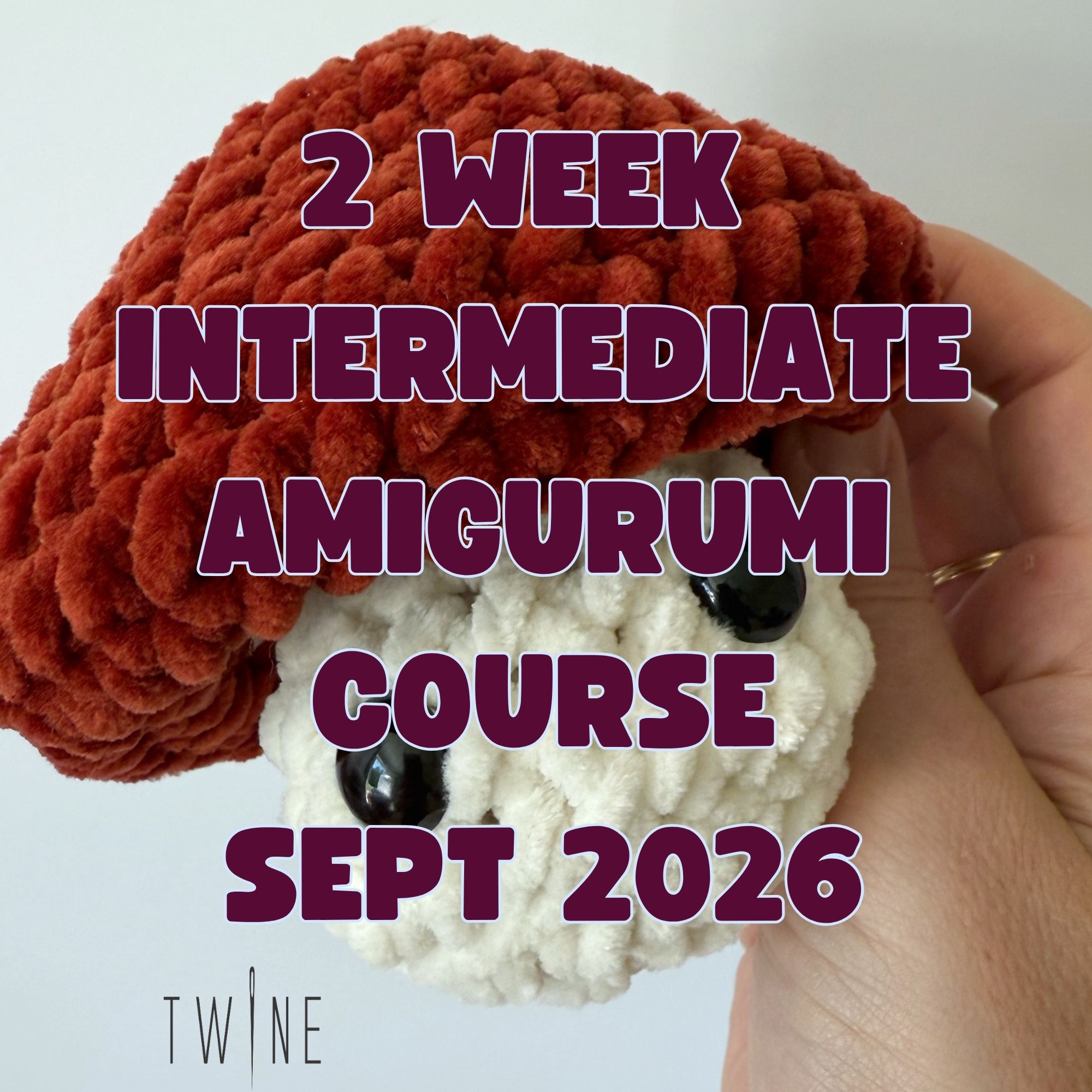Amigurumi Crochet Course - September