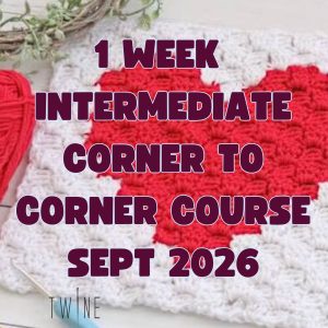 Corner to Corner Crochet Workshop - September
