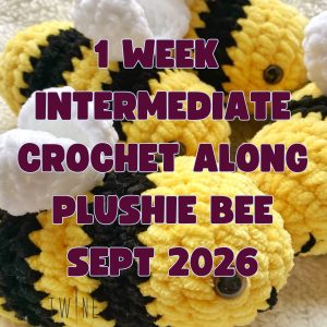 Make a Plushie Bee Workshop - September