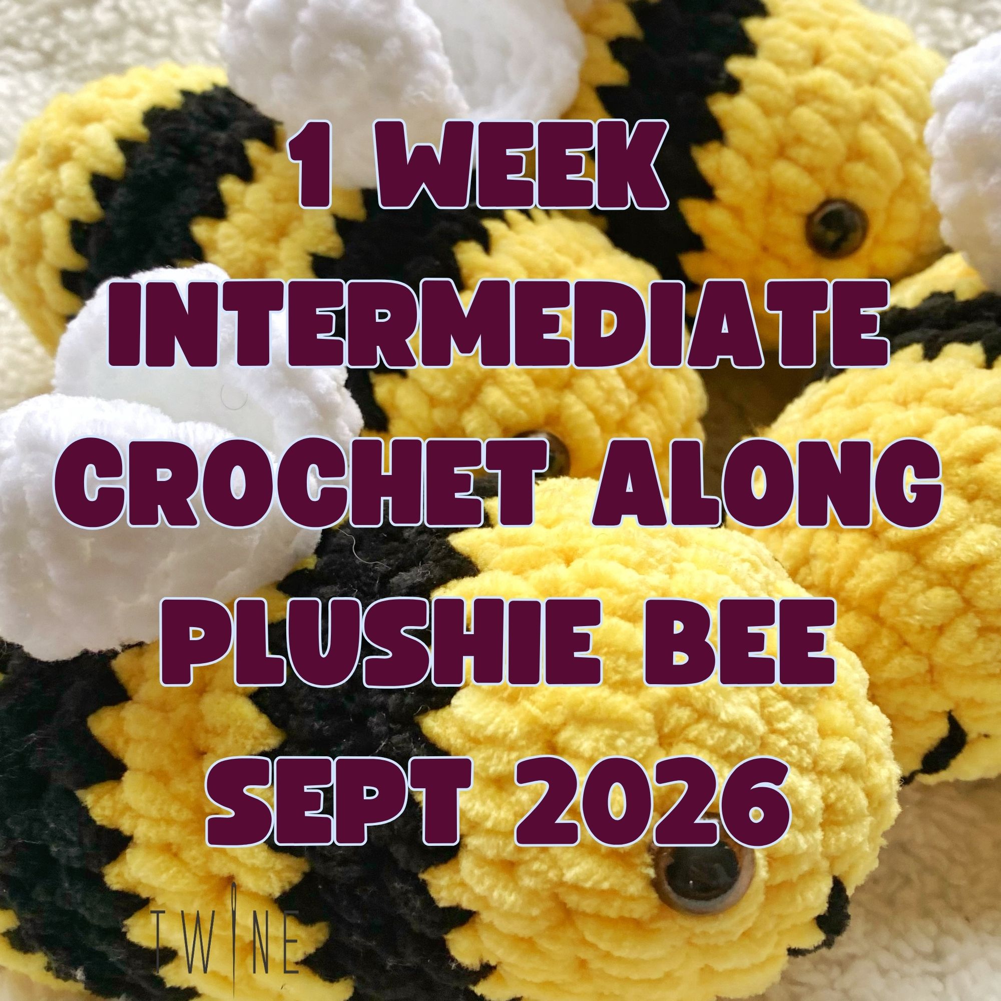 Make a Plushie Bee Workshop - September