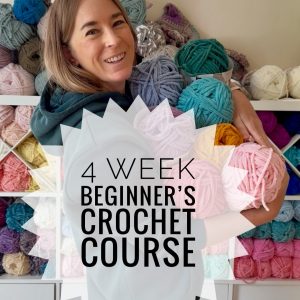Beginners Crochet Course Bray