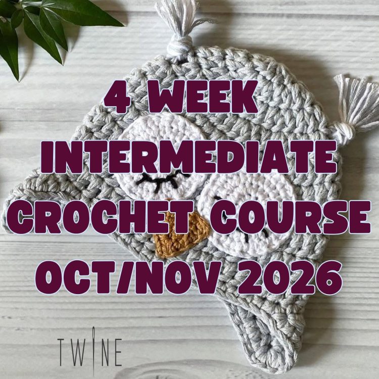 Intermediate Crochet Course - October 2026